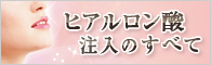 ヒアルロン酸注入のすべて
