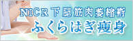 NICRのすべて