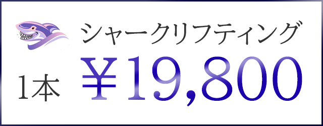 シャークリフティング10本198,000円