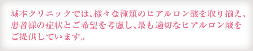 城本クリニックでは、様々な種類のヒアルロン酸を取り揃え、患者様の症状とご希望を考慮し、適切なヒアルロン酸をご提供しています。