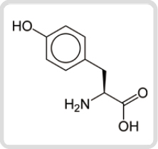 チロシン（アミノ酸）