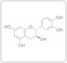 カテキン