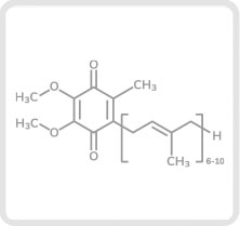 コエンザイムQ10