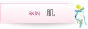 肌 SKIN