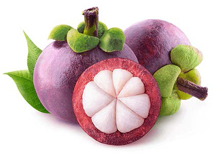 リジュビンs 美容外科 美容整形なら城本クリニック