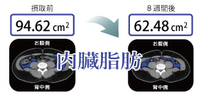 内臓脂肪の低減