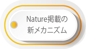 Nature掲載の新メカニズム