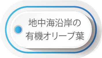 地中海沿岸の有機オリーブ葉