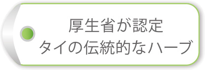 厚生省が認定 タイの伝統的なハーブ