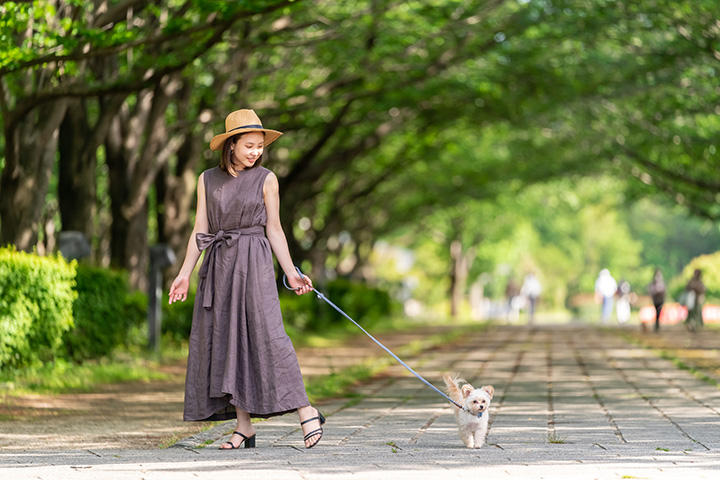 ダウンタイムを早く終わらせるための過ごし方