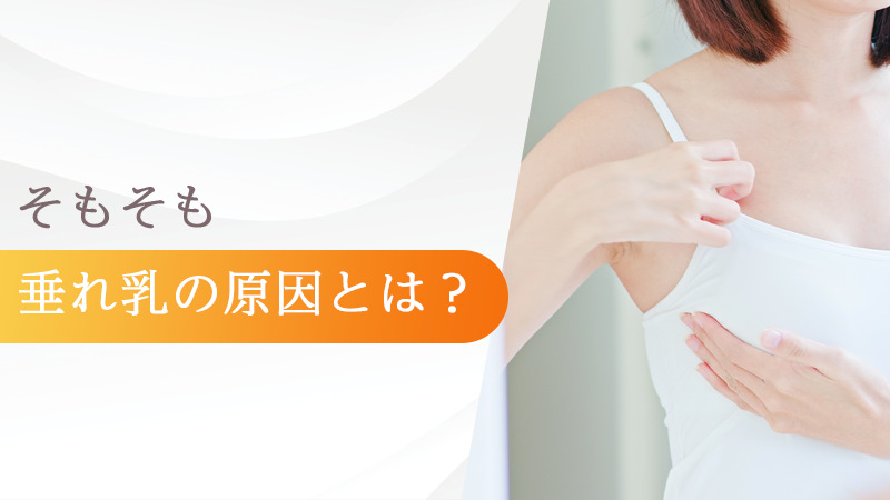 そもそも垂れ乳の原因とは?
