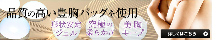 豊胸バッグを使用した人工乳腺法（シリコンバッグ）