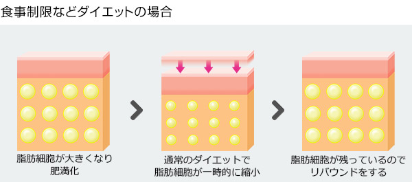 食事制限などダイエットの場合
