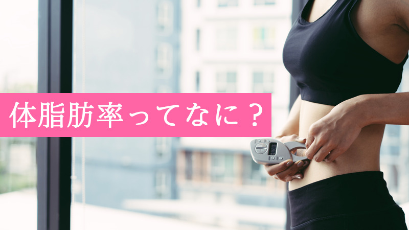 体脂肪率ってなに?