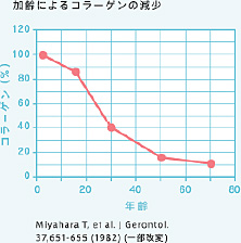 肌の約70%を構成しているコラーゲンは2種類