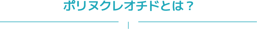 ポリヌクレオチドとは?