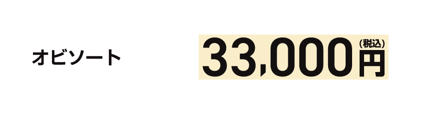 オビソート33,000円