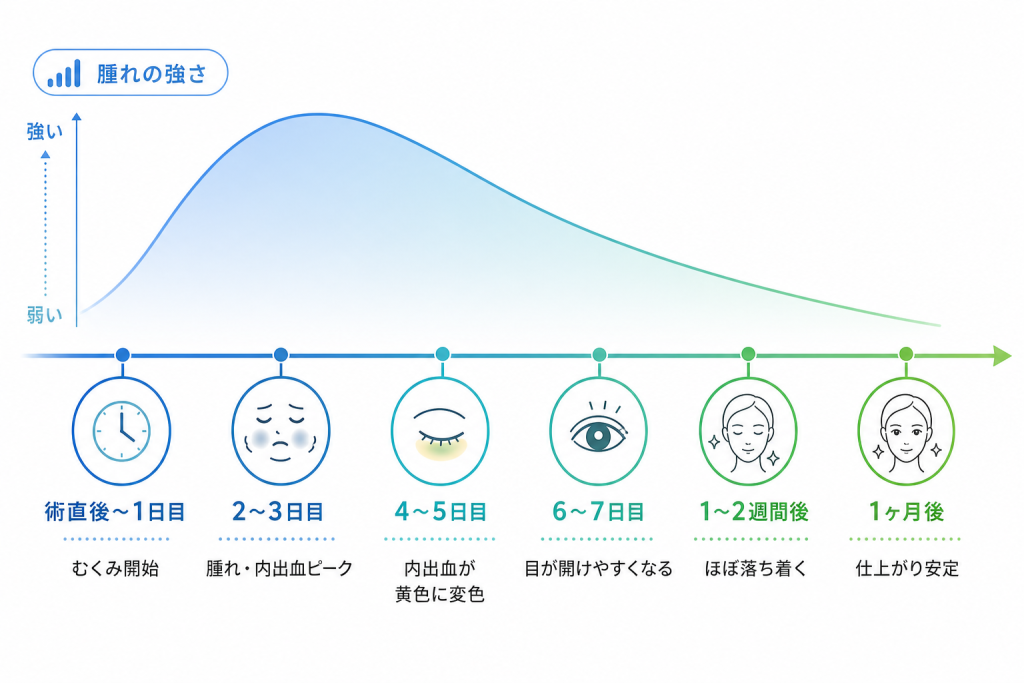 【日数別】クマ取りダウンタイムの経過と症状の変化