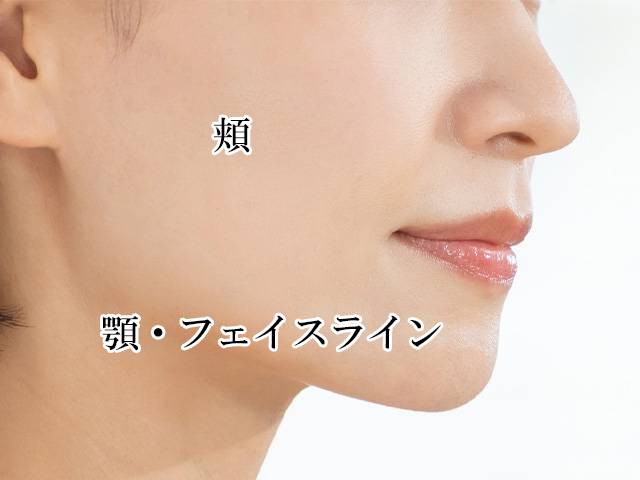 フェイスラインの脂肪吸引