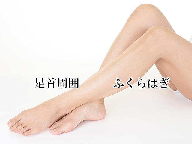 ふくらはぎの脂肪吸引