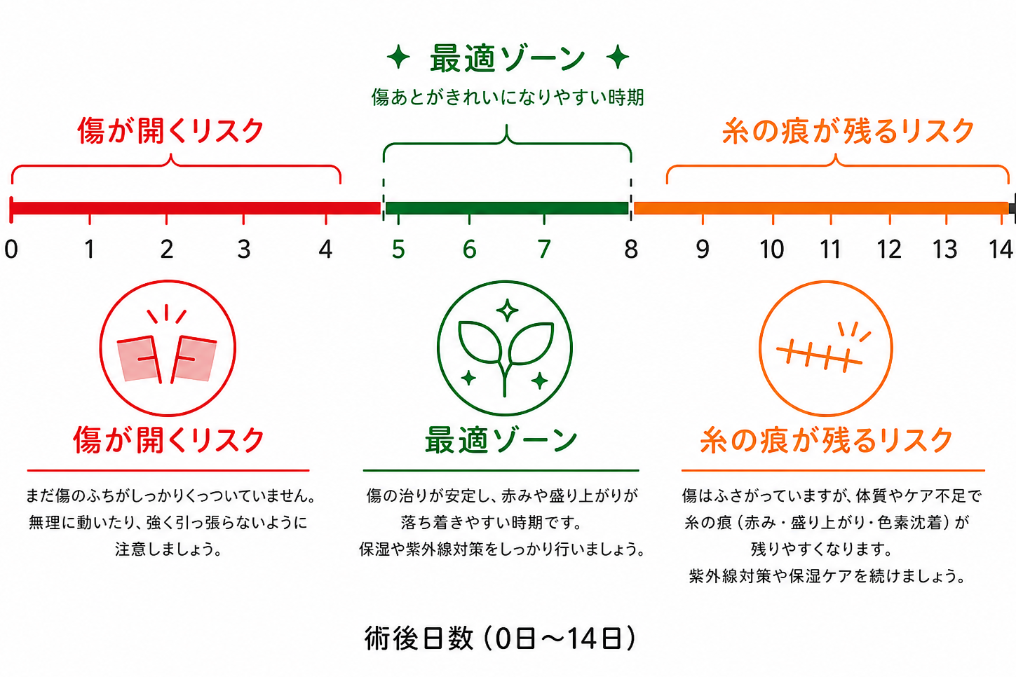 一般的な抜糸時期(術後5〜7日)